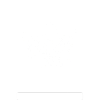 Octopus Octopus Cuttlefish Animal