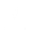 Penguin Penguin Animal