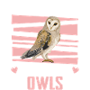 Eule Vogel Tier Eulen