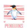 Penguin Penguin Animal