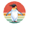 Penguin Penguin Animal