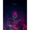 Magic Rose
