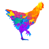 Huhn Hühner Hühnerhalter Hühnerzüchter