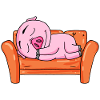 Pig NIedlich sleep sleep
