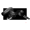Pythons addict