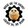 Where are the chicks?