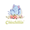 Chinchilla Chinchillin Rodent Pet Zookeeper
