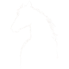 Silhouette des chevaux