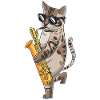 Cat joue saxophone saxophoniste jazz