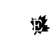 Love Maple Leaf of Canada