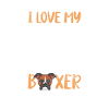 Boxer Dog