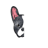 Boston Terrier