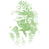 Parkour Free Running Traceur Adn