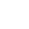 Triebfahrzeugführer Lokführer Train Driver