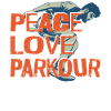 Parkour Free Running Traceur