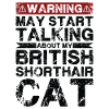 Talking about Abyssinian cat