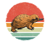 Platypus Animal
