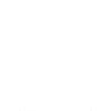 Raccoon