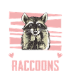 Raccoon