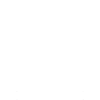 Squirrel Animal