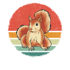 Squirrel Animal