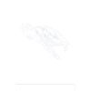 Turtle Sea Turtle Turtle Animal