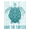 Turtle Sea Turtle Turtle Animal
