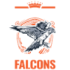Falconer Cadeau Fauconnerner Fauconnernière