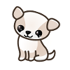 Cute puppy dog