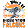 Falconer Gift Falconry Kestrel