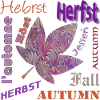 herbst schrift e 236