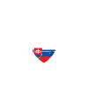 Slovensko Slovaquie Drapeau slovaque Slovaque