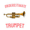 Blasmusik Trompeter Mädchen Geschenk Trompete