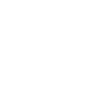 Norfolk Terrier Papa