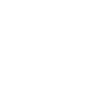 Kromfohrländer Papa