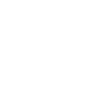 Terre-Neuve Papa