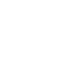 Bernedoodle Papa