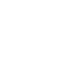 Cavapoo Papa
