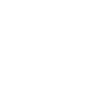 Finnish Lapphund Papa