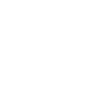 Fox Terrier Papa