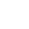 Goldendoodle Papa