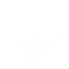 Techno