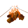 Bonfire with marshmallows