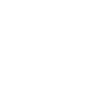 Labradoodle Papa