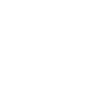 Parson Russell Terrier Papa