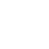 Rough-haired Dachshund Papa