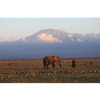 Africa