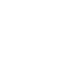 Incredibly cute bat