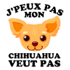 chihuahua 1