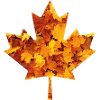 Maple leaf Canada
